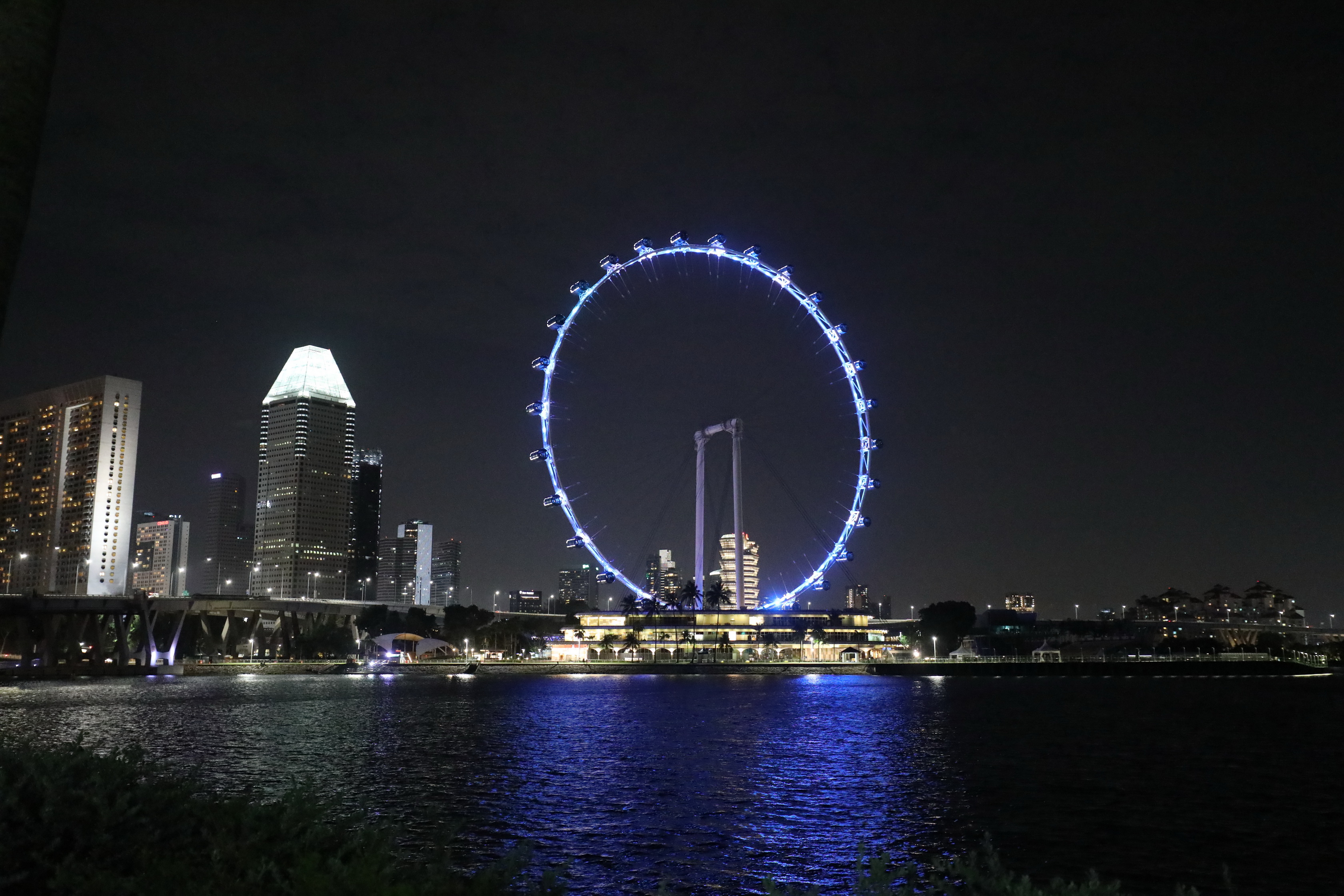 Singapore Flyer in der Nacht